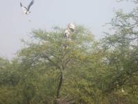 Man kommt ziemlich nahe heran