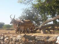 so sah es schon vor tausenden Jahren hier aus