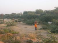 Szene in der Steppe bei Khejrala