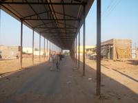 die lange Prozessionsstrasse von Ramdeora