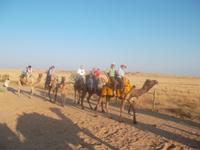 also zog die Karawane los 