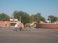 Fortbewegungsmittel Kamelwagen