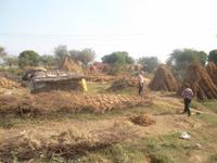 unfreiwilliger Aufenthalt am Dreschplatz