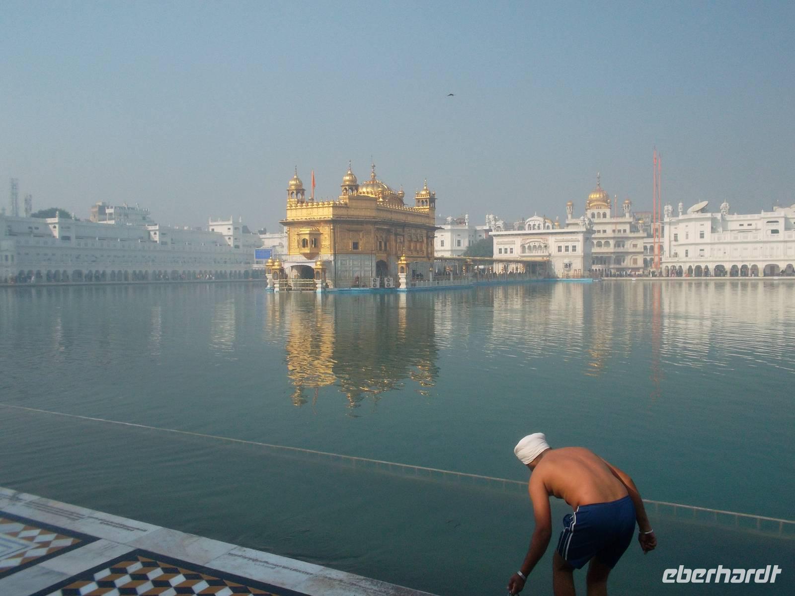 Baden im Nektarsee ist heilige Pflicht!