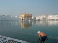 Baden im Nektarsee ist heilige Pflicht!