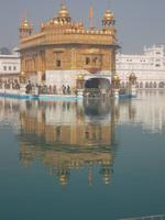 Man kann sich nicht sattsehen... 