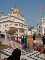Pilger sind überall im Tempel