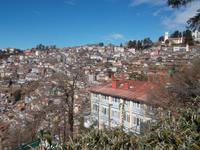Shimla ist direkt an die Himalaya-Hänge gebaut