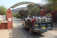 Im Ranthambore Nationalpark auf Safari