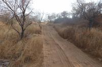 Im Ranthambore Nationalpark auf Safari