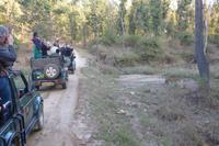 Eberhardt Gäste und der Tiger im Kanha Nationalpark