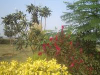 Blütenpracht unterwegs