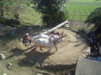 Historische Wasserschöpfanlage im Aravalli-Gebirge