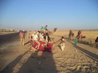 Es geht los zum Dromedarritt