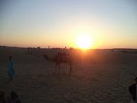 Sonnenuntergang in der Thar