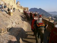 Eberhardt TRAVEL Reise durch Indien -  Jaipur Amber Fort