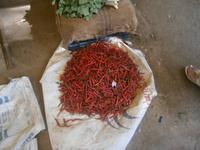 Eberhardt TRAVEL Reise durch Indien - indischer Markt