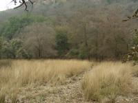 Landschaft in Ranthambore