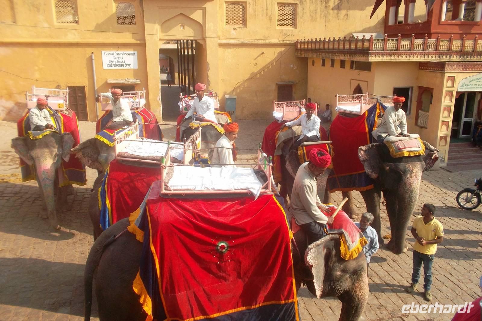 Elefantenritt zum Amber Fort