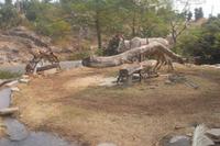 historische Wasserschöpfanlage im Aravalli-Gebirge