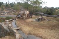 historische Wasserschöpfanlage im Aravalli-Gebirge