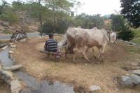 historische Wasserschöpfanlage im Aravalli-Gebirge