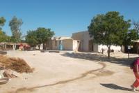 Bishnoi-Bauernhof bei Khejrala