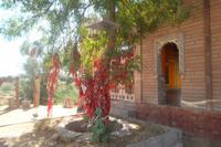 Wunschbaum am Hanuman-Tempel