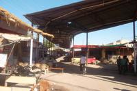 Prozessionsstraße Ramdeora