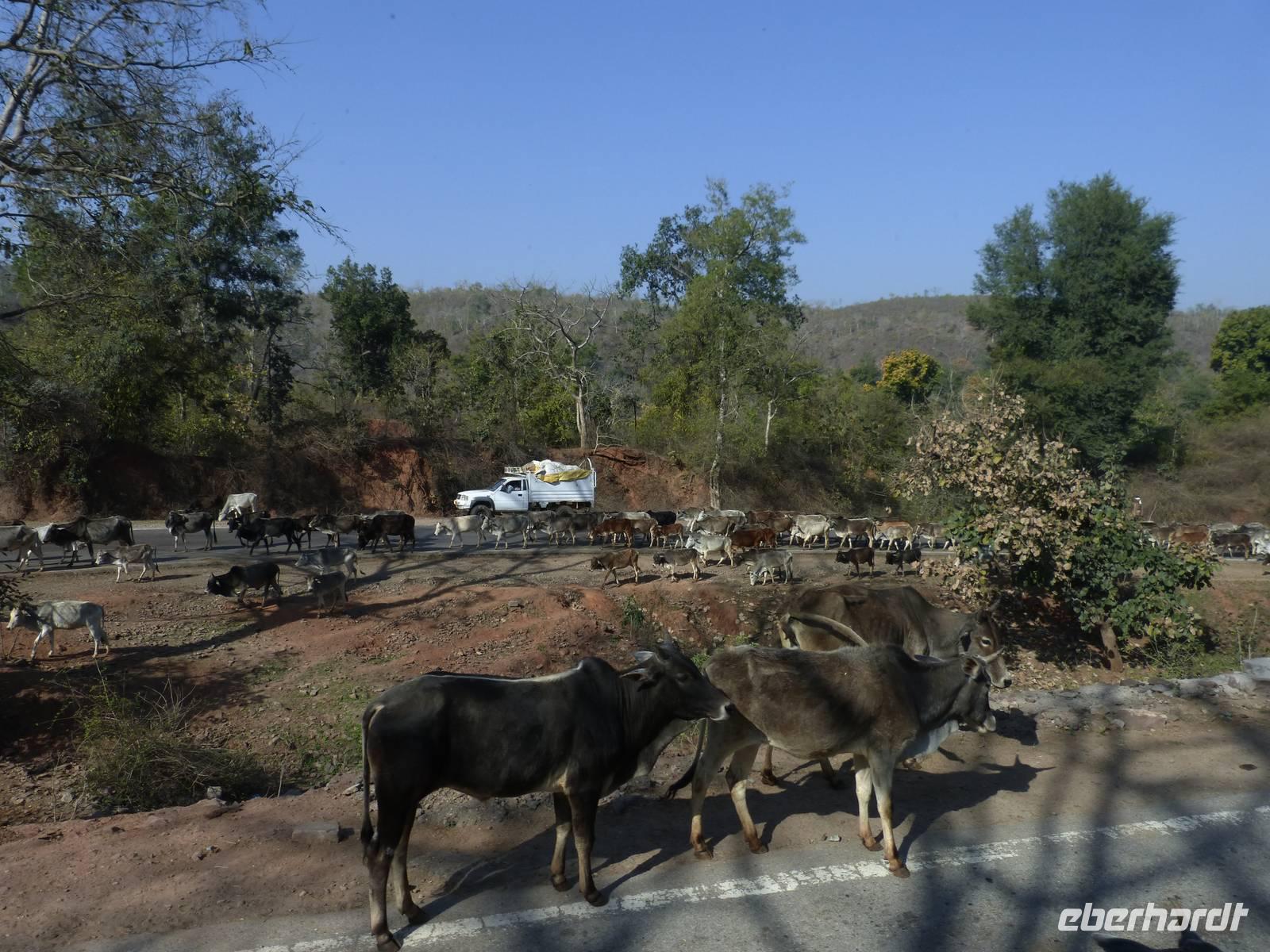 auf dem Weg nach Bandhavgarh