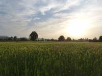 Dorfbesuch in Bandhavgarh (22)