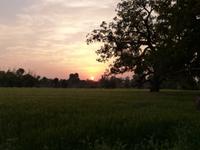 Dorfbesuch in Bandhavgarh (25)