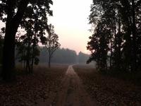 Kanha Nationalpark (6)