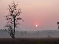 Kanha Nationalpark (7)