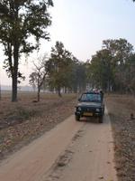 Safari in Kanha