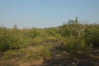 Landschaft auf dem Dekkan Plateau