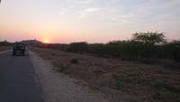 Abendstimmung bei Khejarla