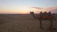 Abendstimmung in der Thar