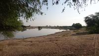 Am See in der Steppe von Khejrala