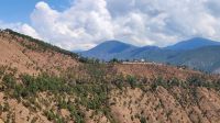 Busfahrt nach Punakha - Nonnenkloster in der Ferne