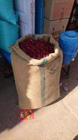 Chilischoten in Fatehpur