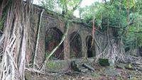Die Natur holt sich die verfallenen Häuser der Engländer aud Ross Island wieder