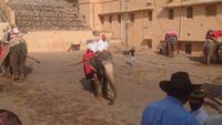 Elefantenstation am Amber Fort