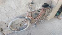 Fahrrad ohne Klingel oder Hupe? Geht gar nicht, bleibt stehen!