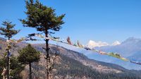 Fahrt zum Chelela Pass