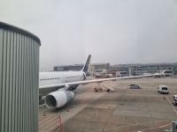 Flug nach Delhi (3)