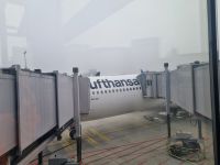 Flug nach Delhi (4)