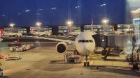 Flug von Deutschland über Istanbul nach Delhi, Turkish Airlines Flugzeug