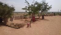 Freiluft-Toilette am Wege nach Bikaner
