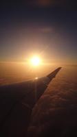 Heimflug nach Deutschland